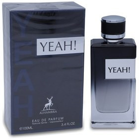 عطر ادکلن مردانه ایو سن لوران وای الحمبرا (Alhambra Yves Saint Laurent Y)